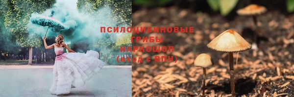 стафф Баксан