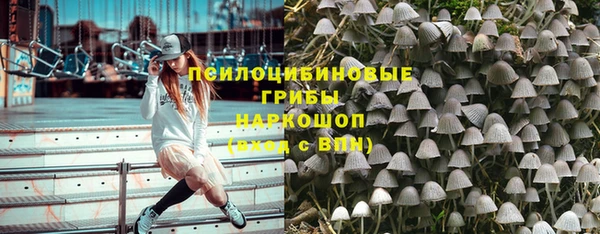 стафф Баксан
