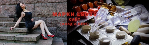 spice Аркадак