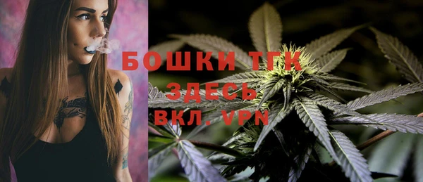 spice Аркадак